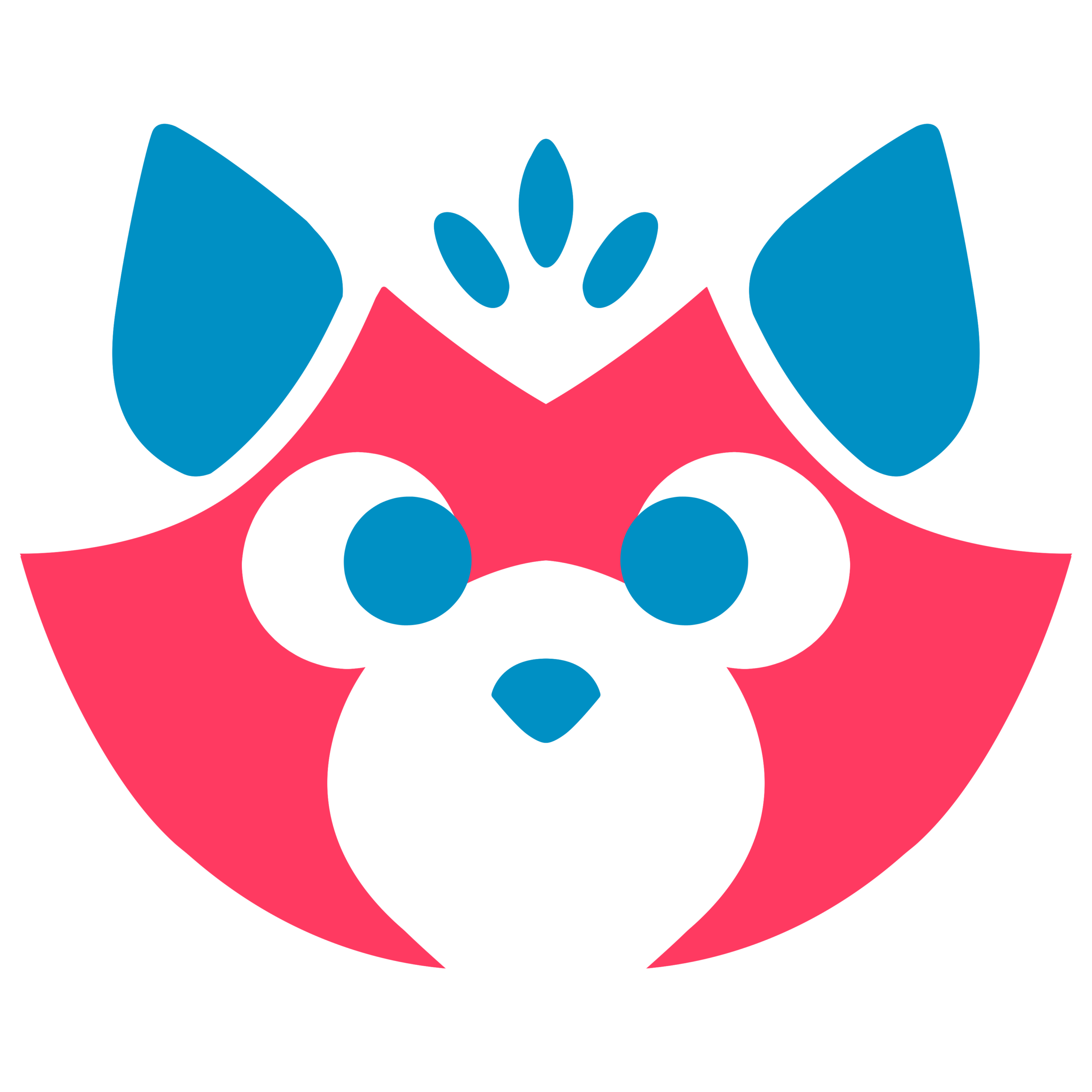 Raccoon Merchant